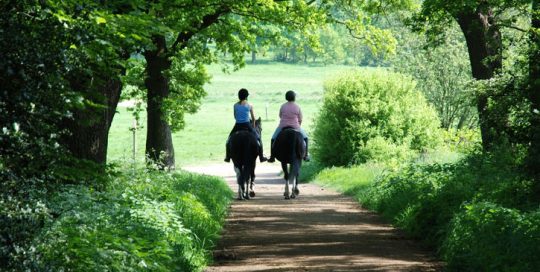 The Forest of Dean Greenways Project