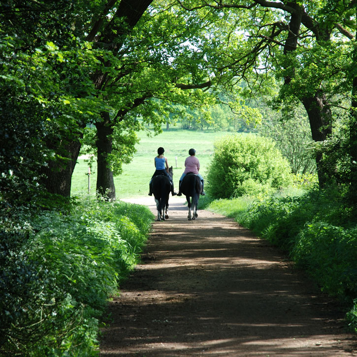 The Forest of Dean Greenways Project