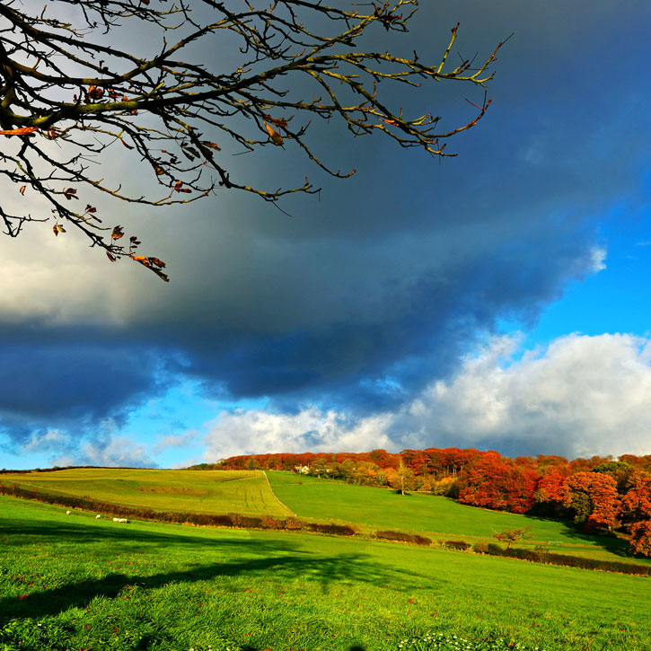 Gloucestershire Rural Community Council