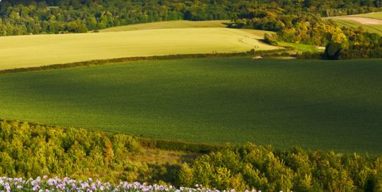 Heart of England Tourism