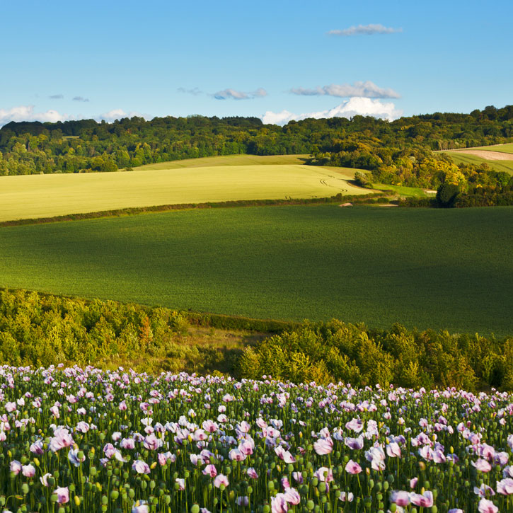 Heart of England Tourism