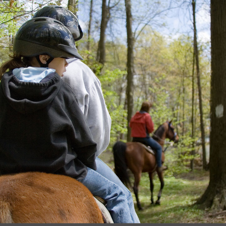 Safe and sustainable travel in Standish